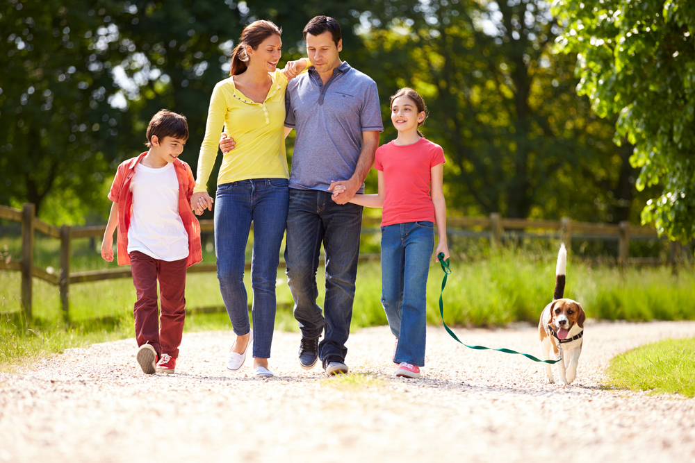 Take the Family for a Walk